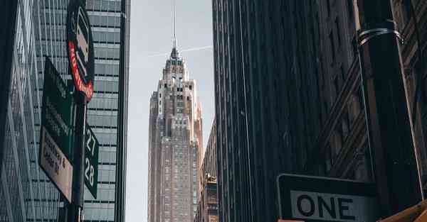 揭秘动画制作_揭秘动物生殖奥秘