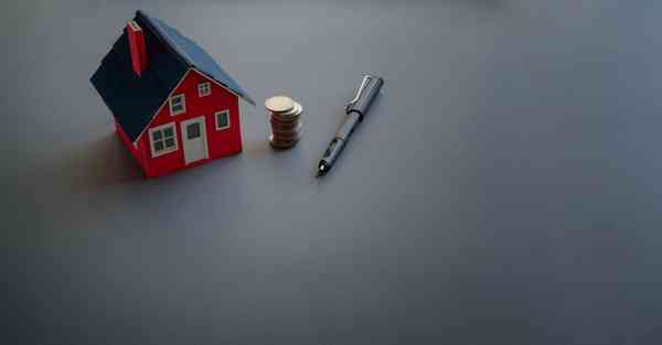 揭秘动画制作_揭秘动物生殖奥秘