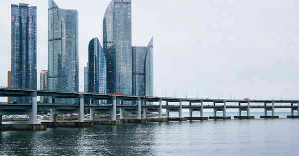 如何制作小蛋糕_如何制作小蛋糕又简单又好吃