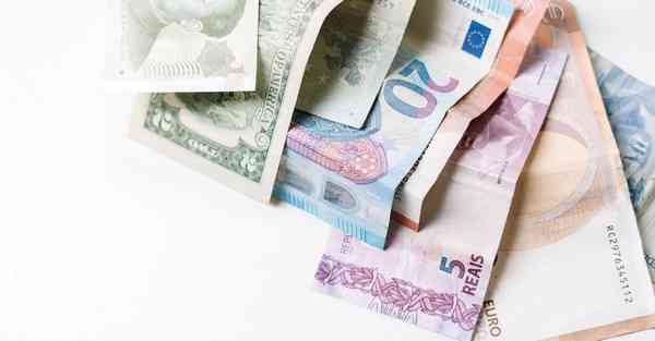 关于动画制作_关于动物的作文300字