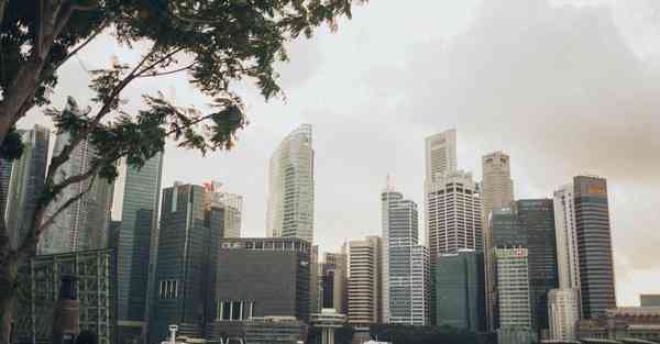 广西艺术学院动画制作_广西艺术学院动画专业