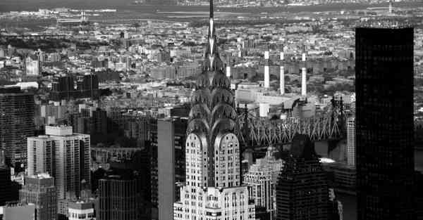 关于动画制作_关于动物的作文300字