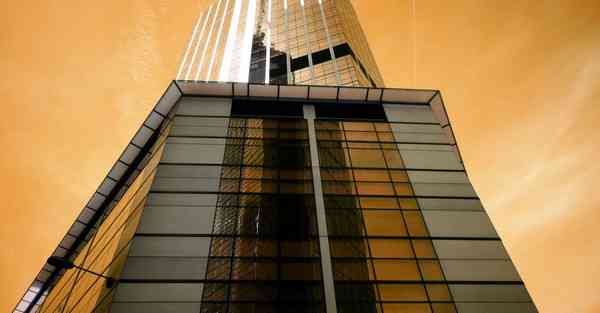 给动物制作动画_给动物制作美食