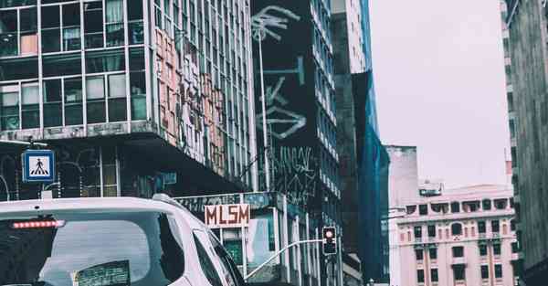 动画制作人是干嘛的