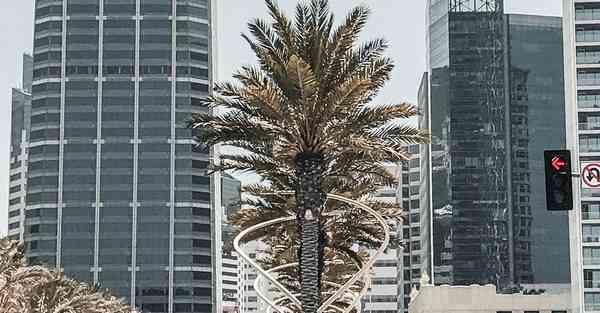 什么软件可以制作3d动画_什么软件可以制作3d动画片