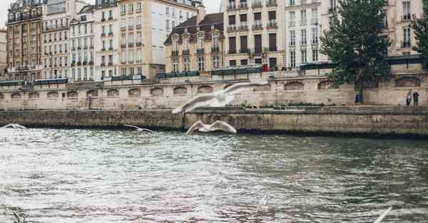 宣传动画制作哪家好_宣传动画制作