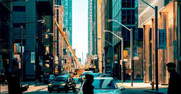 动物动画制作_动物动画制作教程