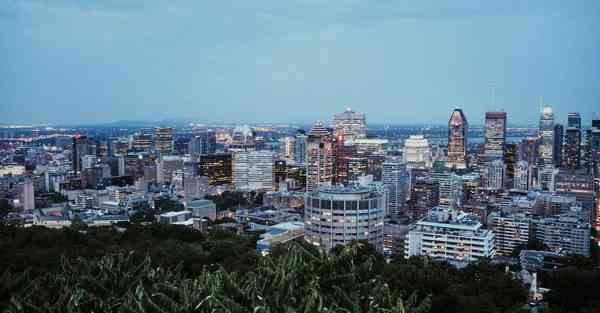 僵小鱼动画制作_僵小鱼动画制作方法