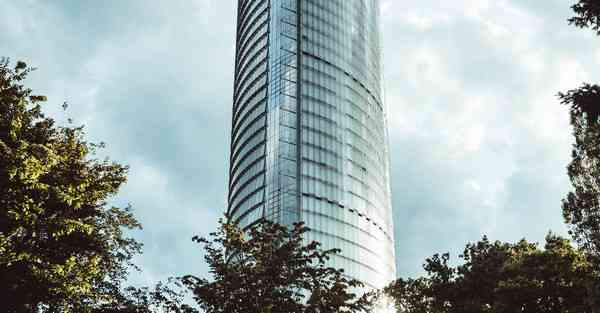 关于动画制作_关于动物的作文300字