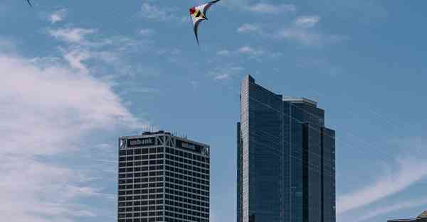 干制蔬菜一览表_干制蔬菜