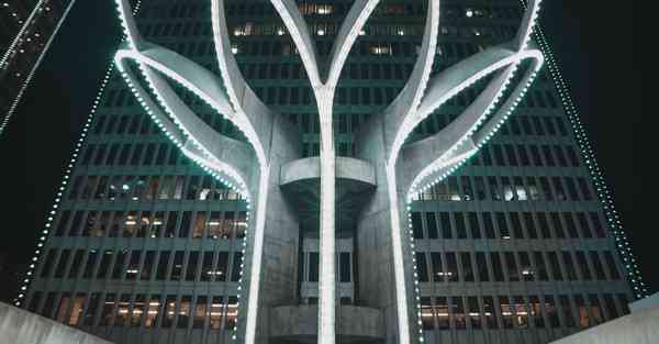 泡南瓜种子的方法