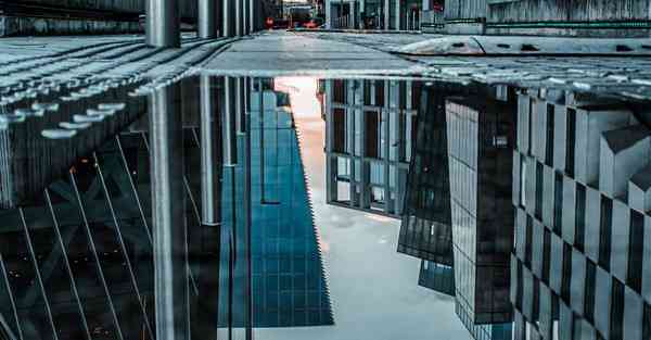 好莱坞动画制作公司_好莱坞动画制作软件