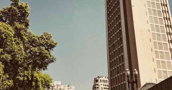 给动物制作东西_给动物制作美食