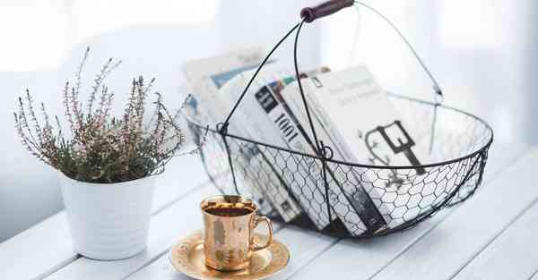 揭秘动物的100种秘密