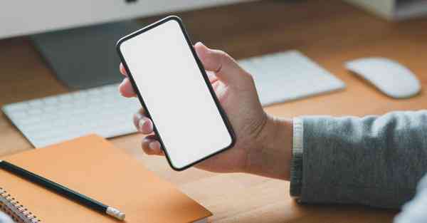 常见动物大全100种_常见动物大全100种图片