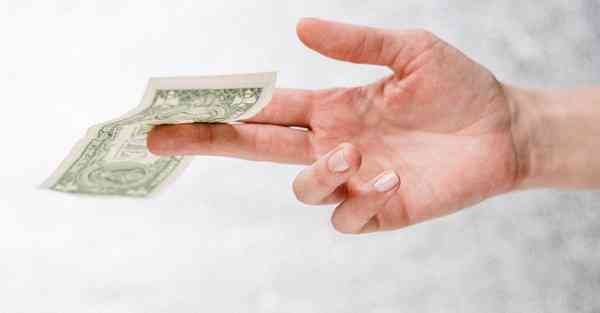 可爱动物照片_可爱动物照片壁纸