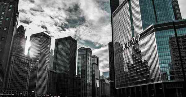 关于动画制作_关于动物的作文300字